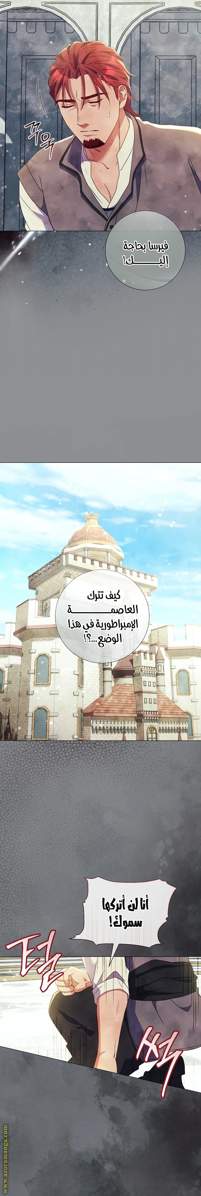 الصفحة 17