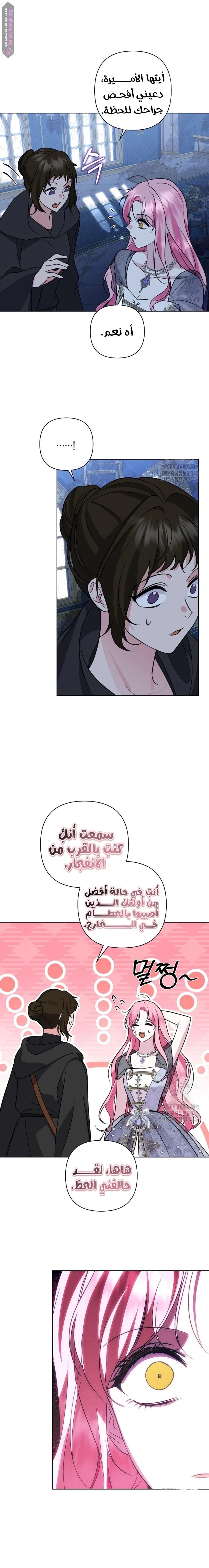 الصفحة 5