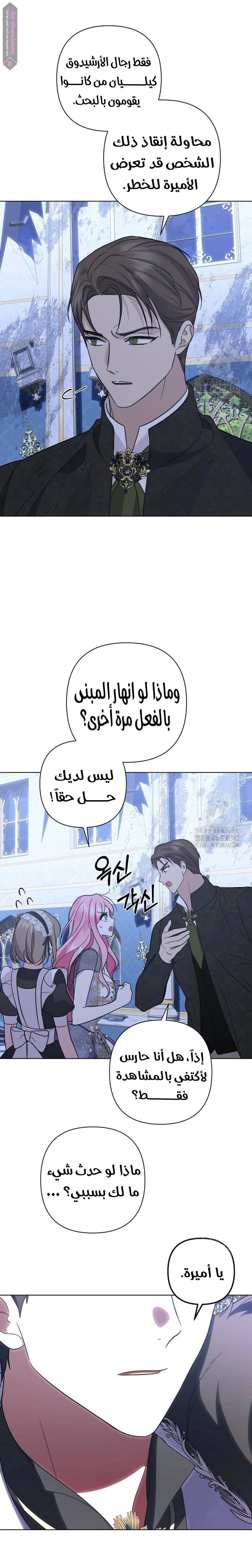 الصفحة 11