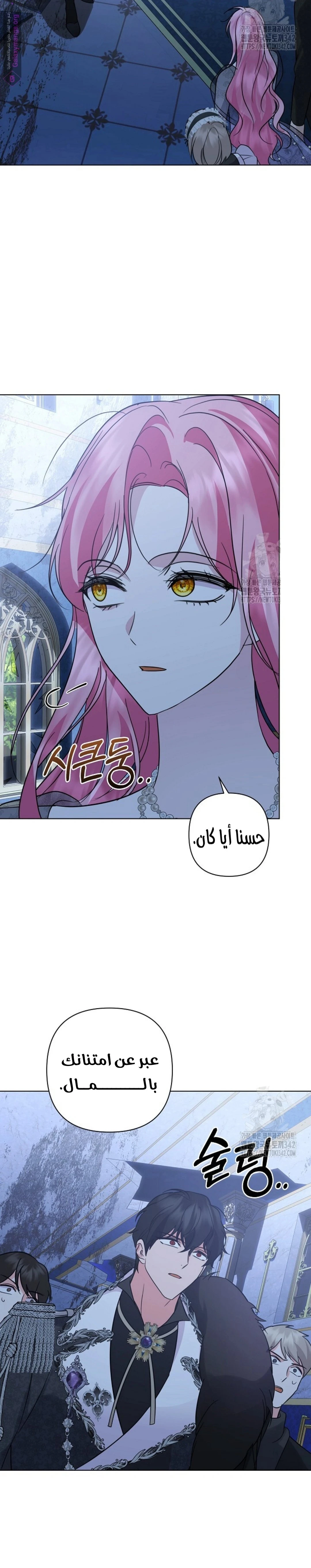 الصفحة 13