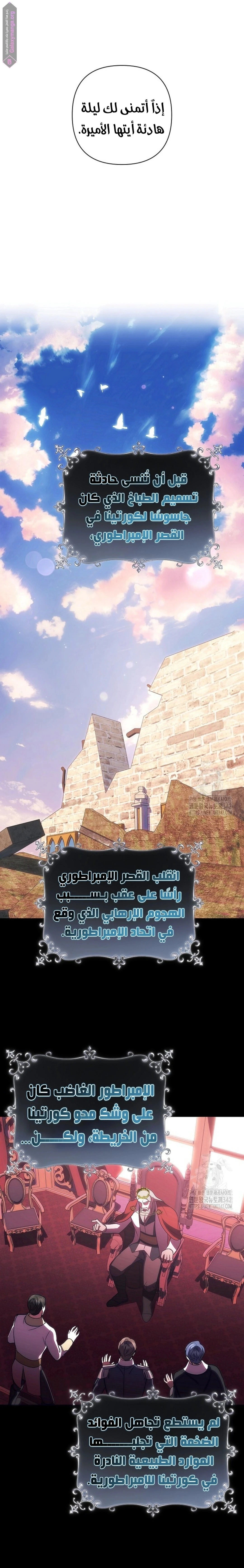 الصفحة 17