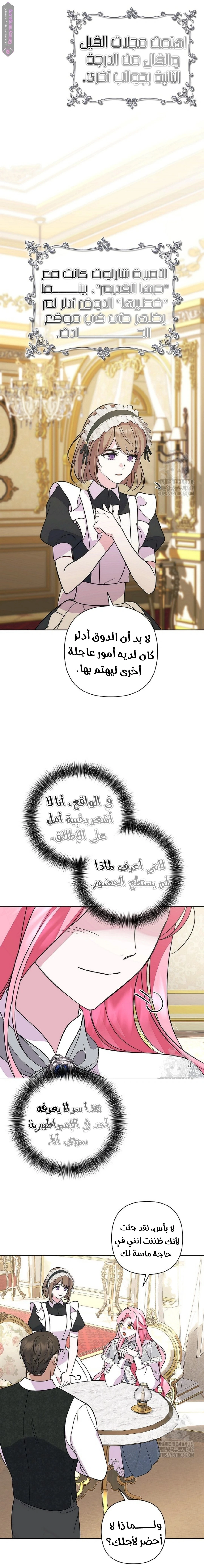 الصفحة 19