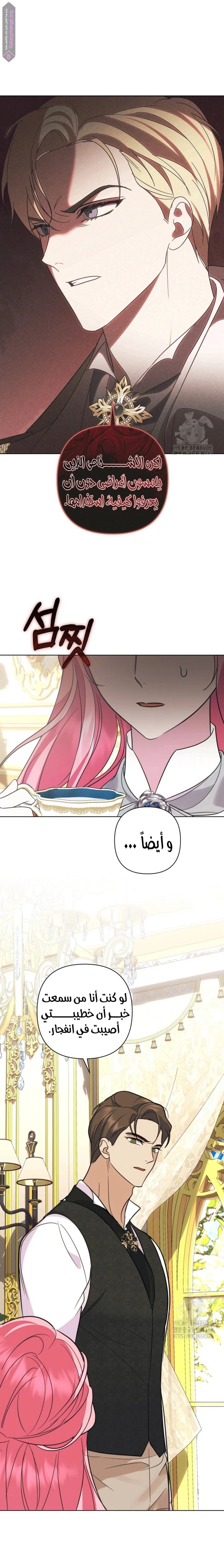الصفحة 24