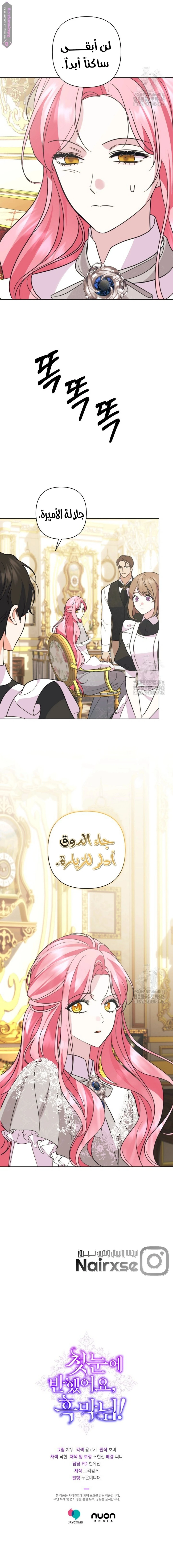 الصفحة 25