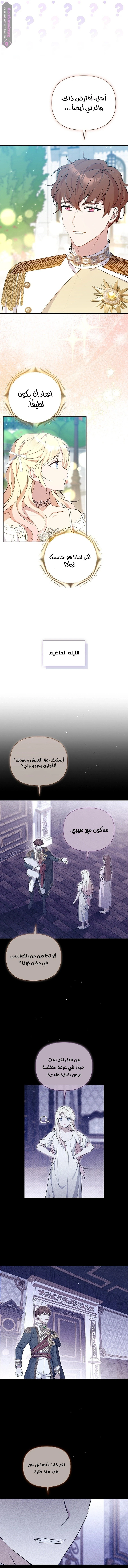 الصفحة 5