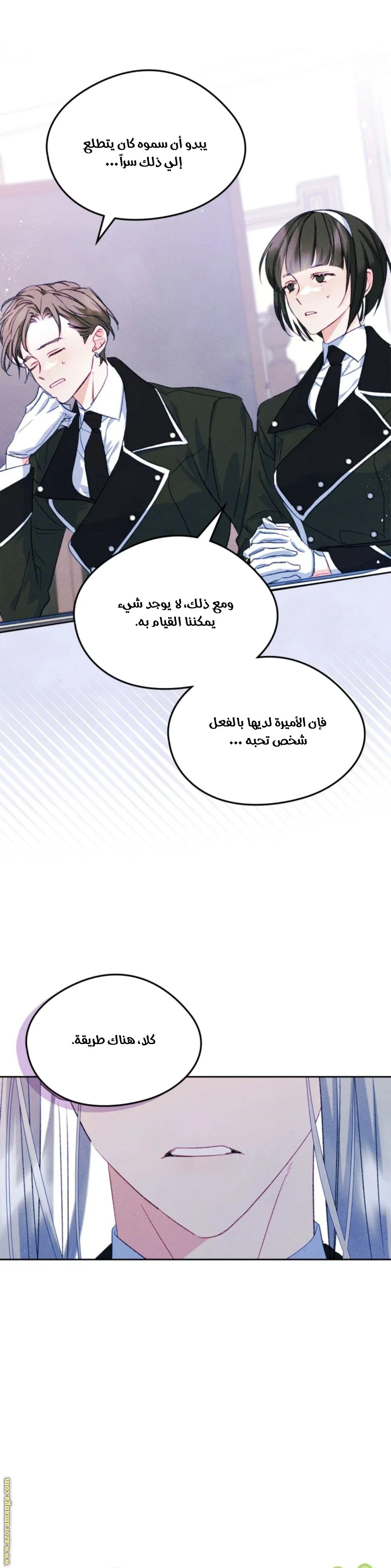 الصفحة 26
