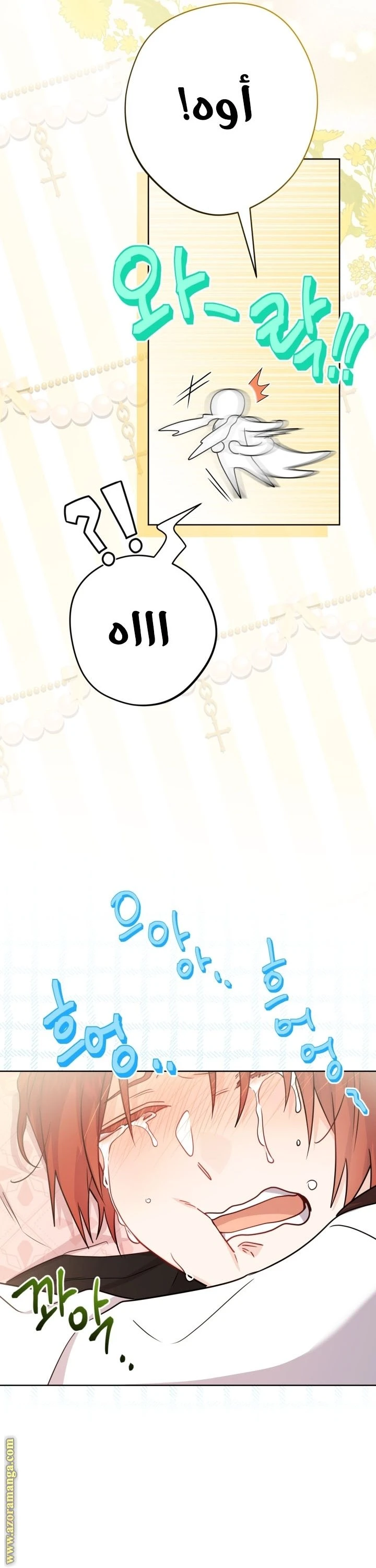 الصفحة 16