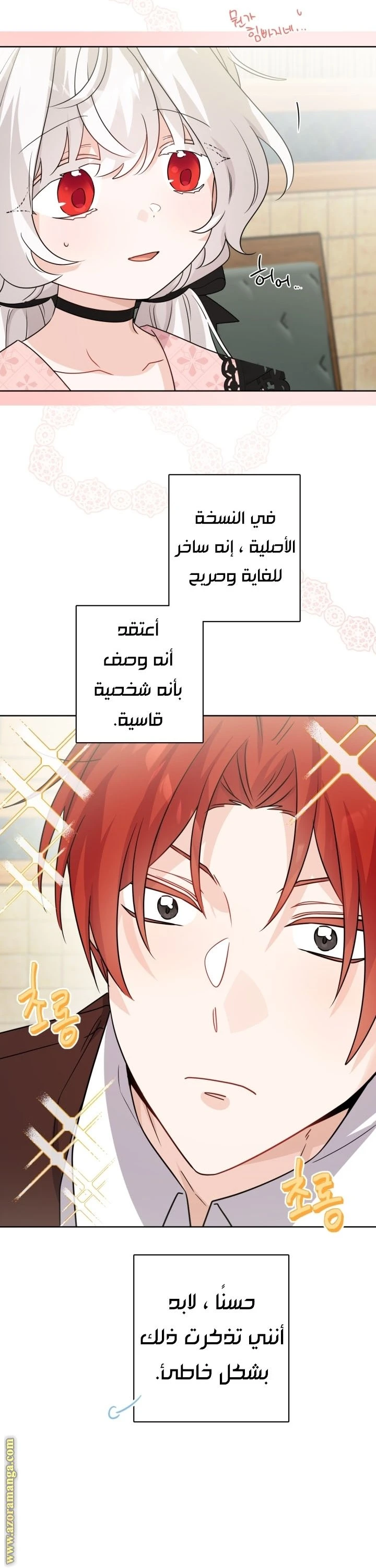 الصفحة 21