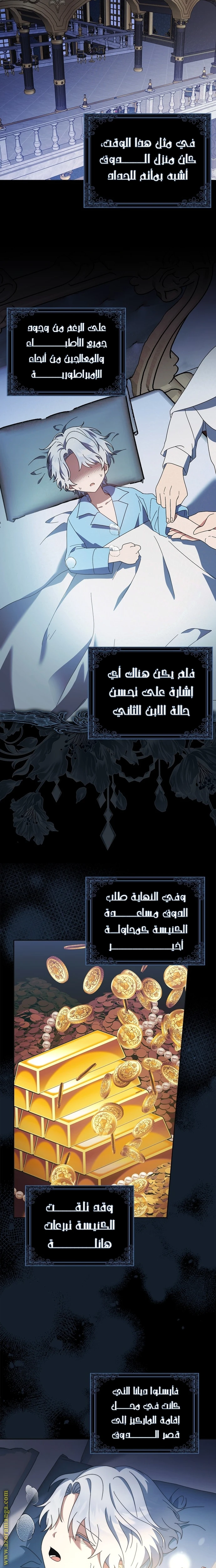 الصفحة 17