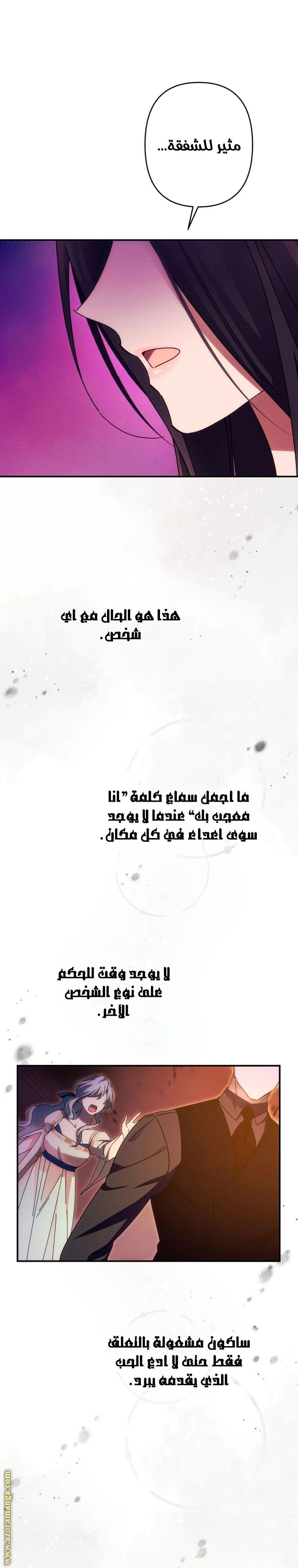 الصفحة 17