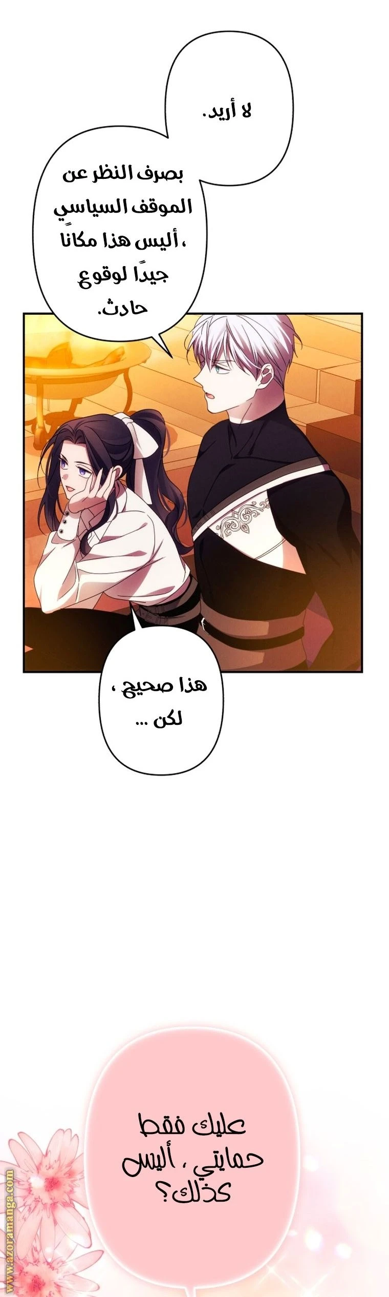 الصفحة 27