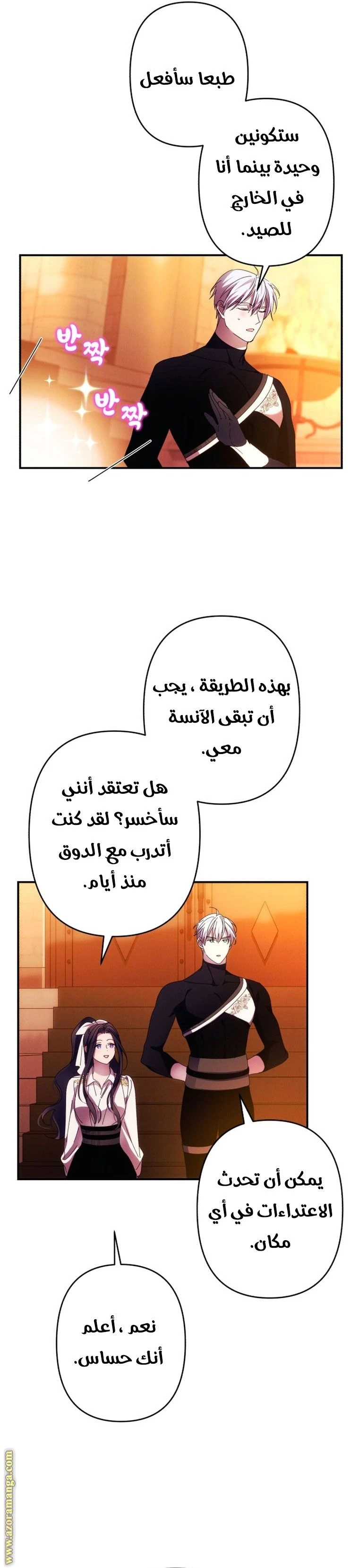 الصفحة 29