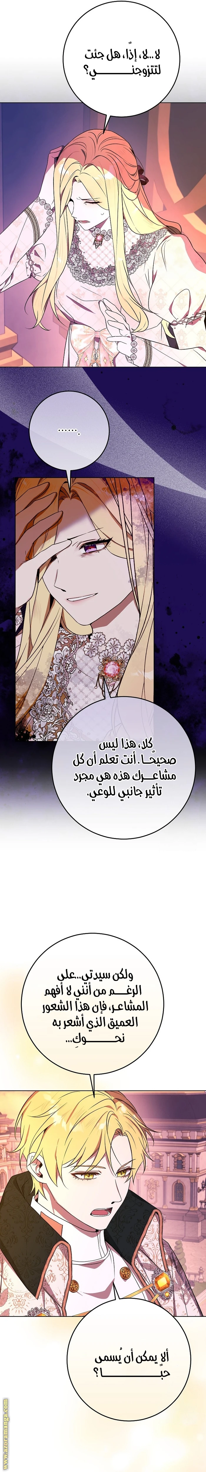 الصفحة 17
