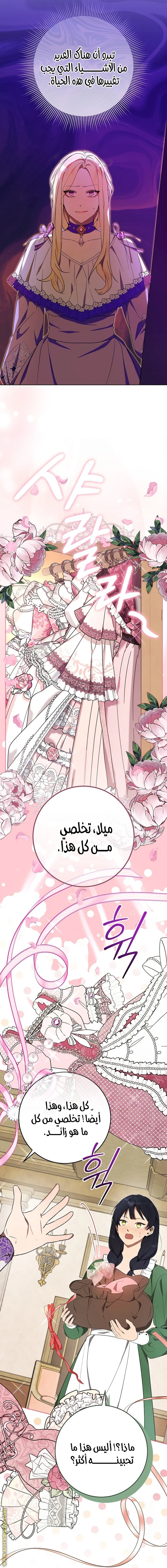 الصفحة 20