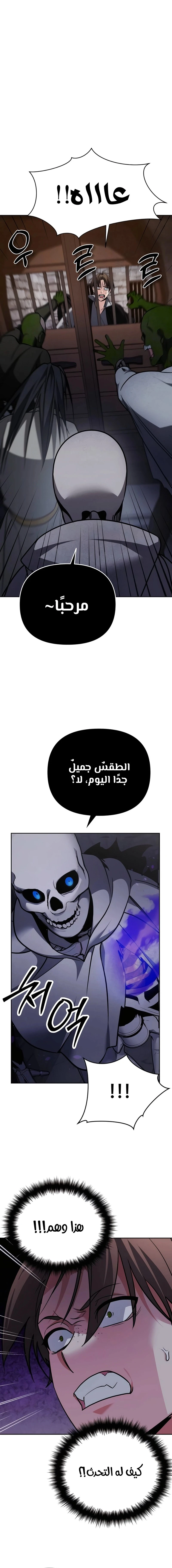 الصفحة 13
