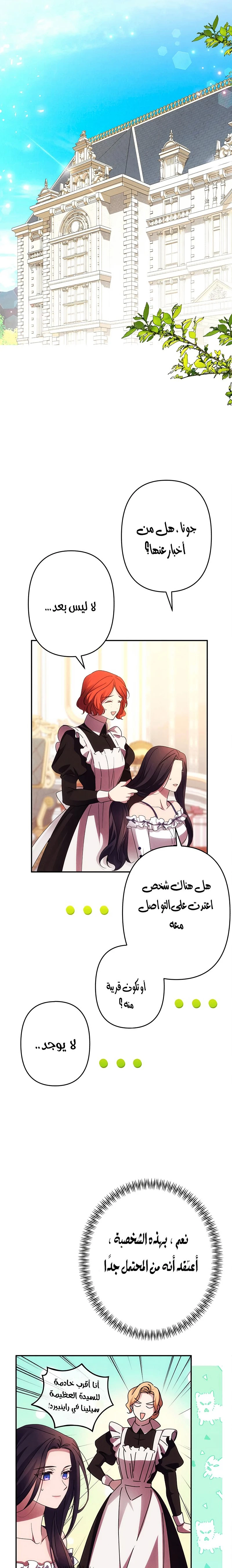 الصفحة 17