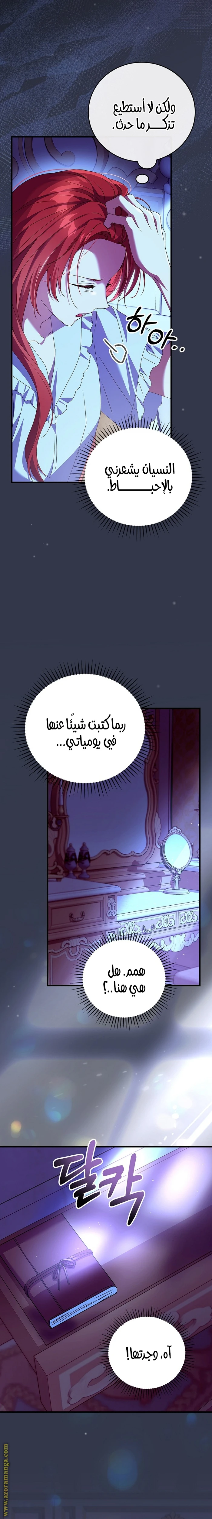 الصفحة 17