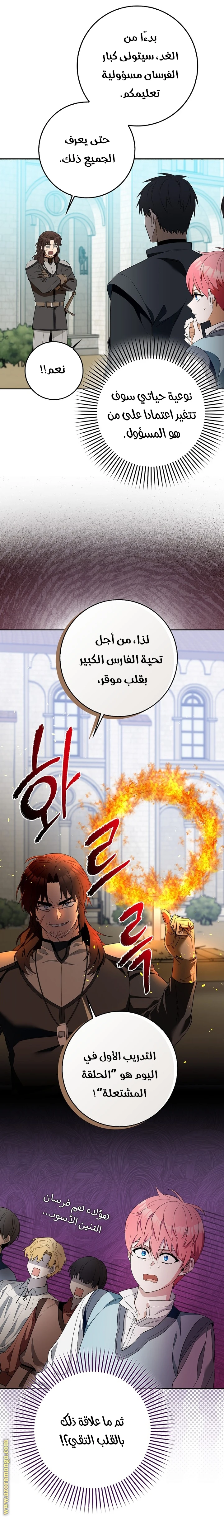 الصفحة 20