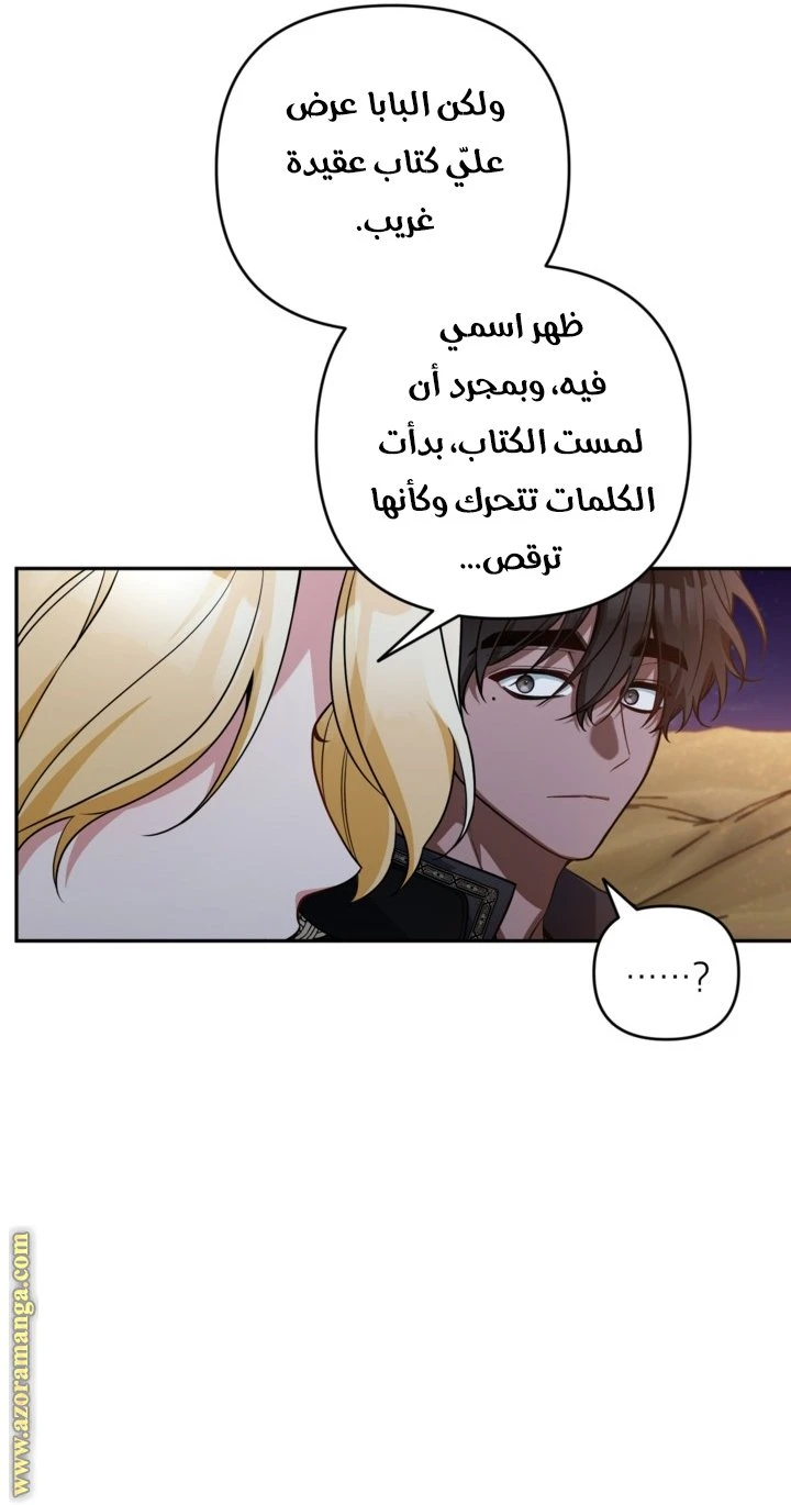 الصفحة 17