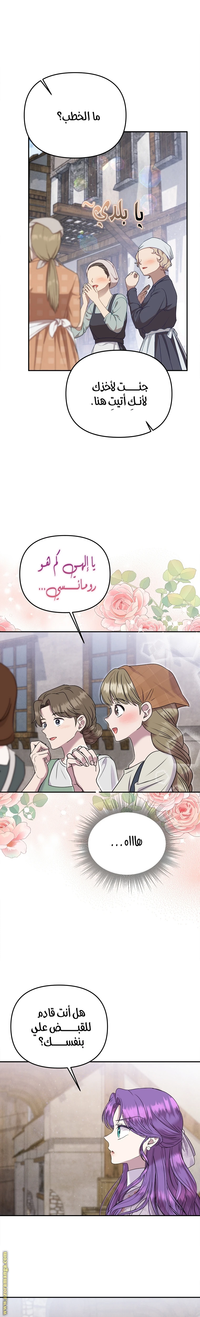 الصفحة 17