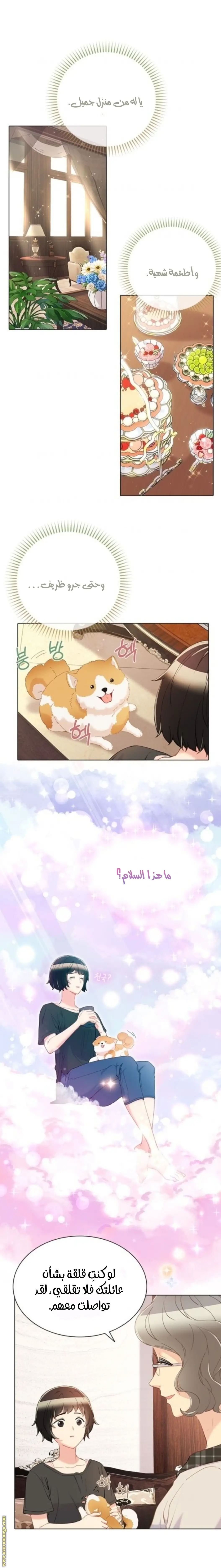 الصفحة 7