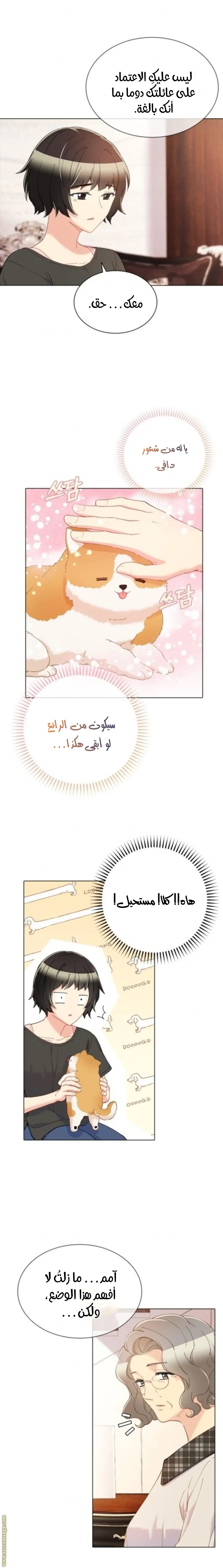 الصفحة 8