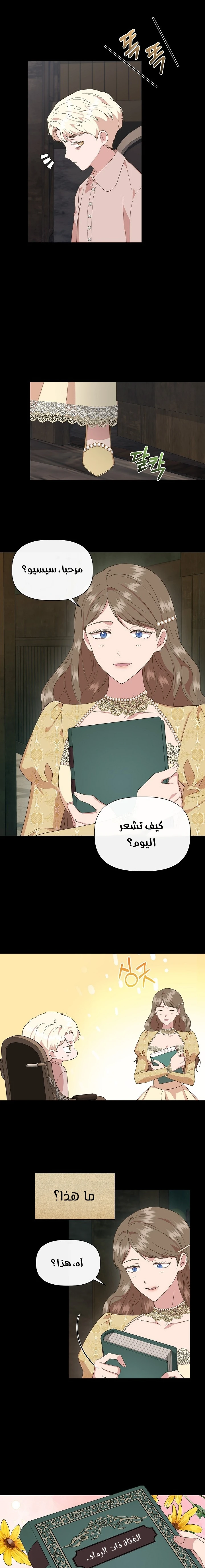 الصفحة 3