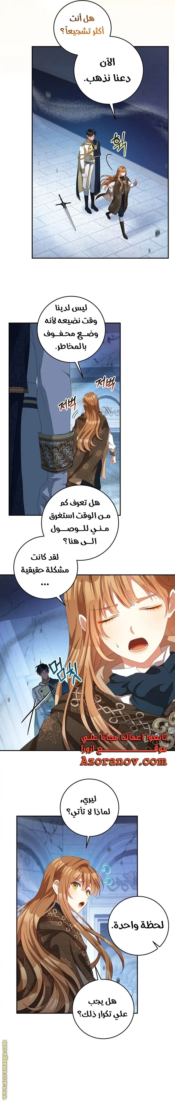 الصفحة 17
