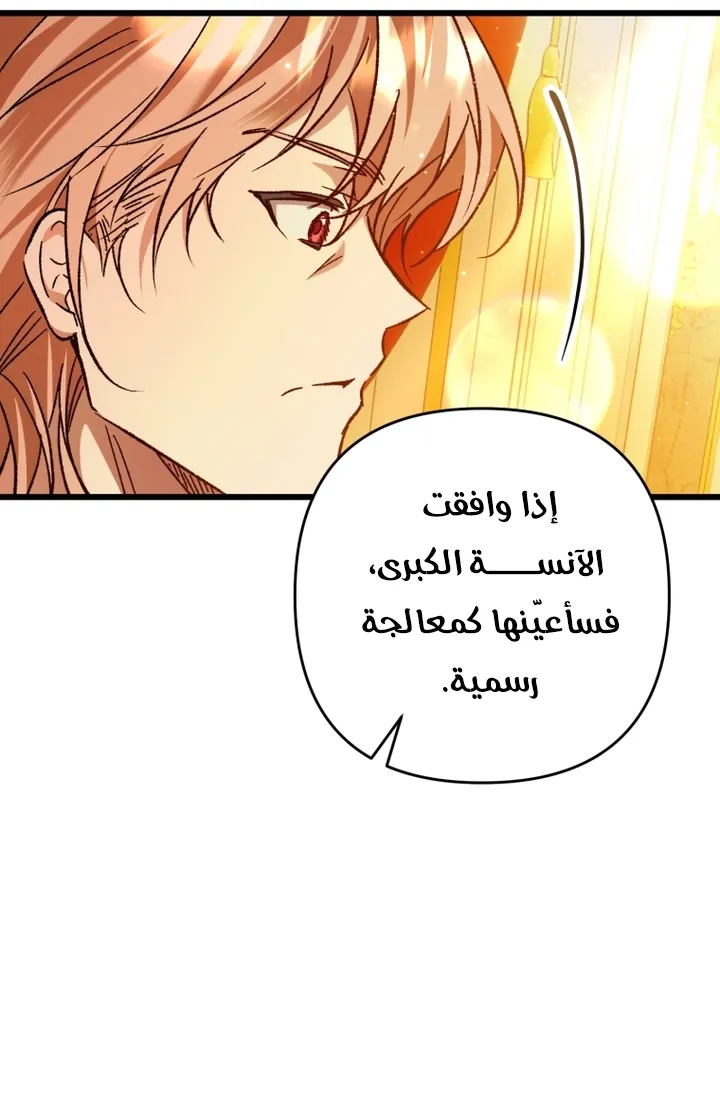الصفحة 29