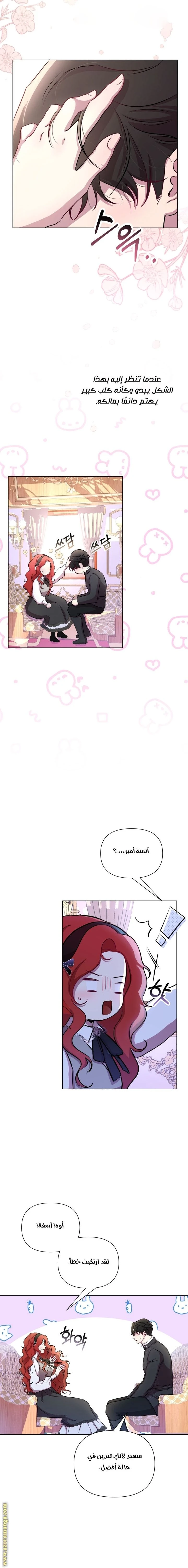 الصفحة 13