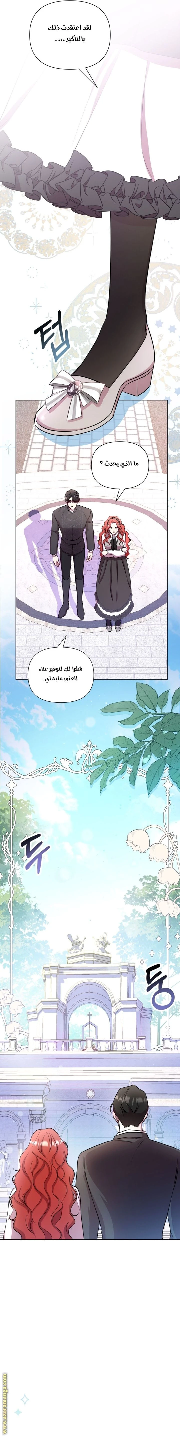 الصفحة 17