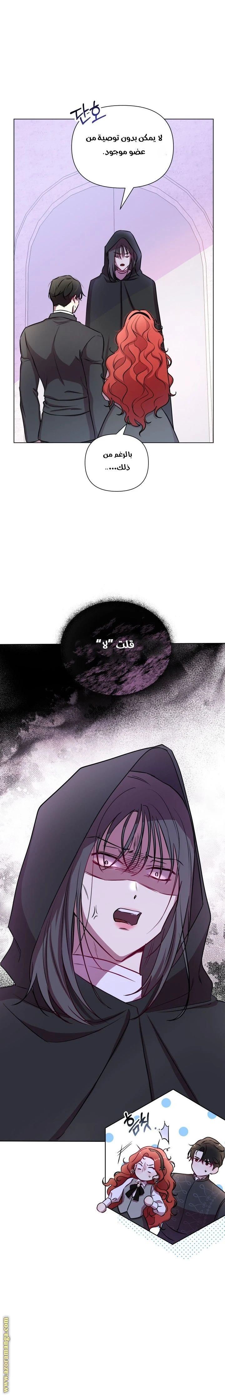 الصفحة 19