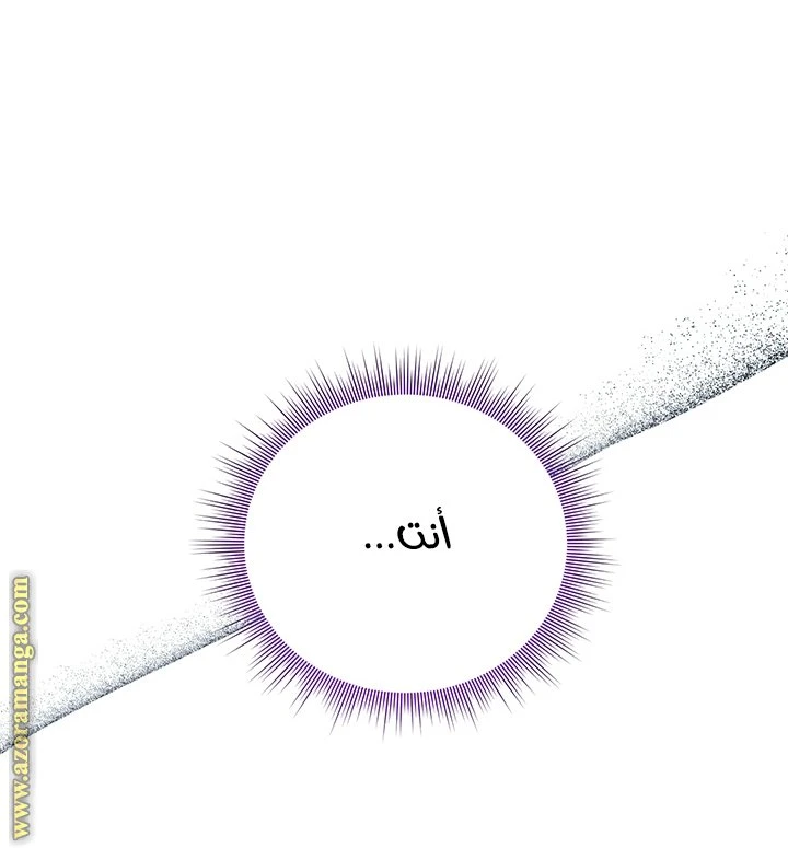 الصفحة 24