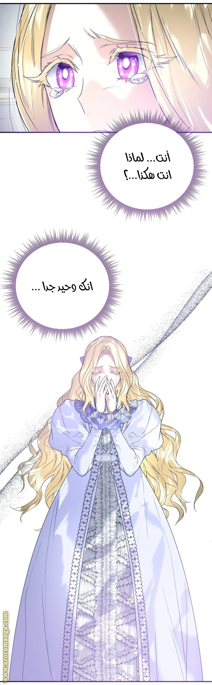 الصفحة 25