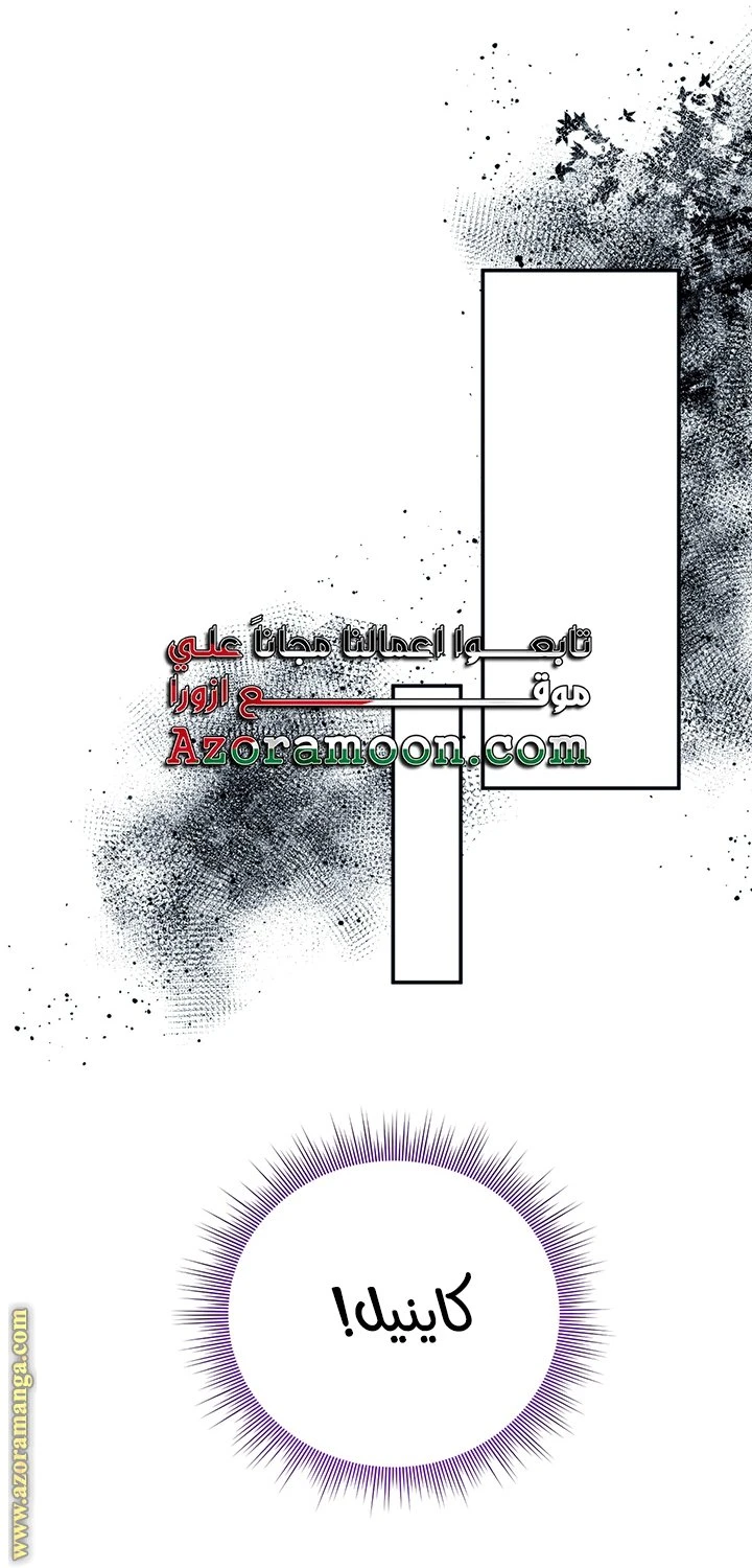 الصفحة 27
