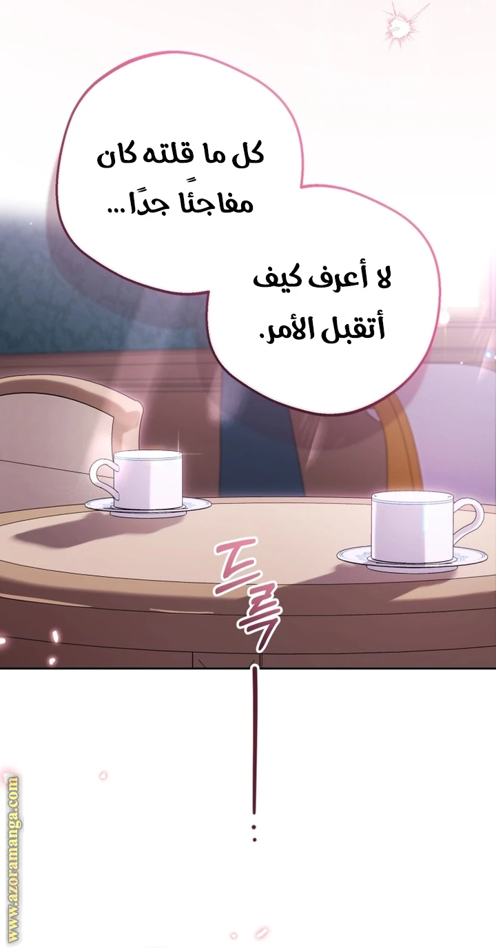 الصفحة 25