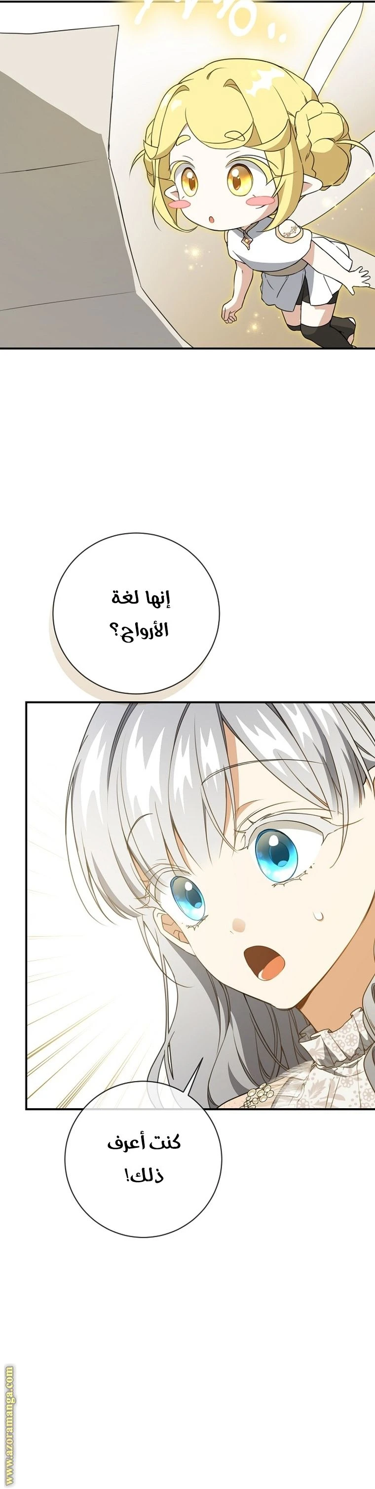 الصفحة 7