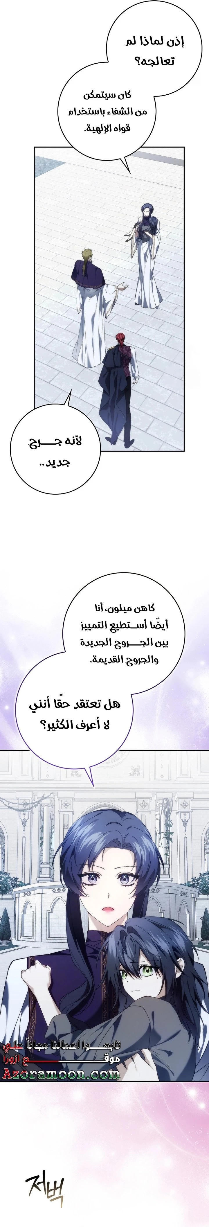 الصفحة 13