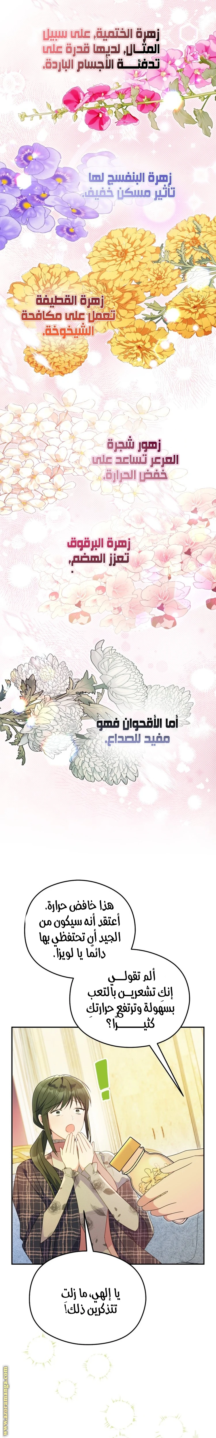 الصفحة 12