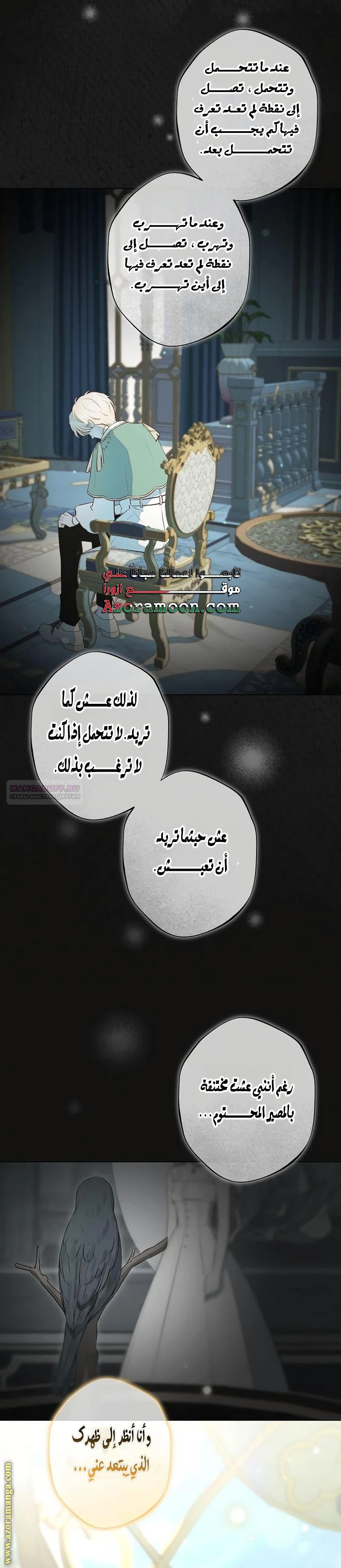 الصفحة 5