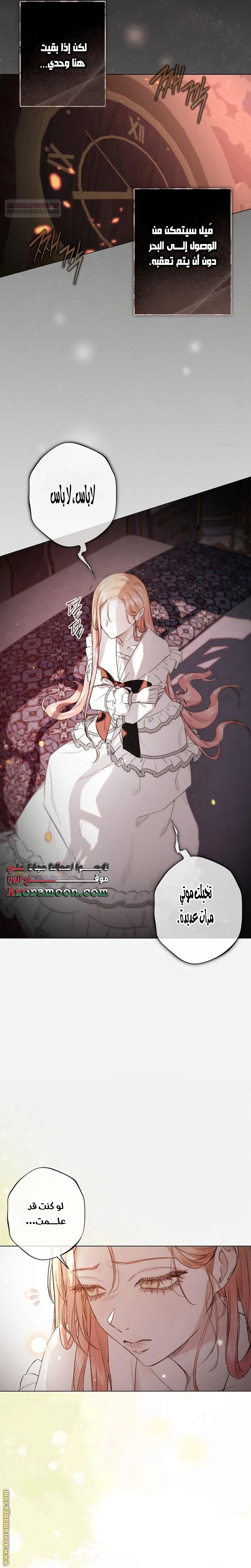 الصفحة 17