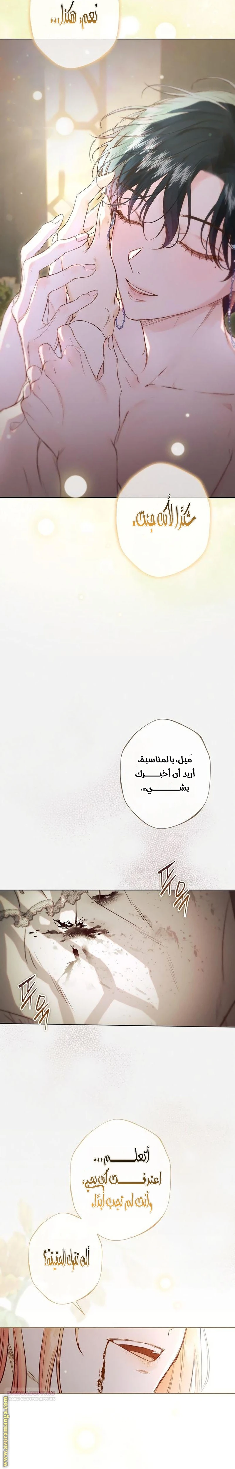 الصفحة 19