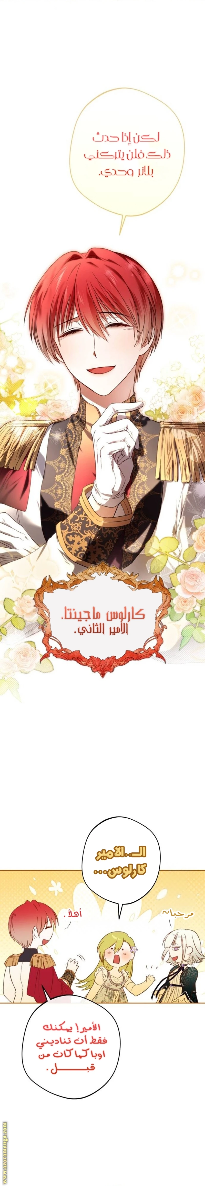 الصفحة 17