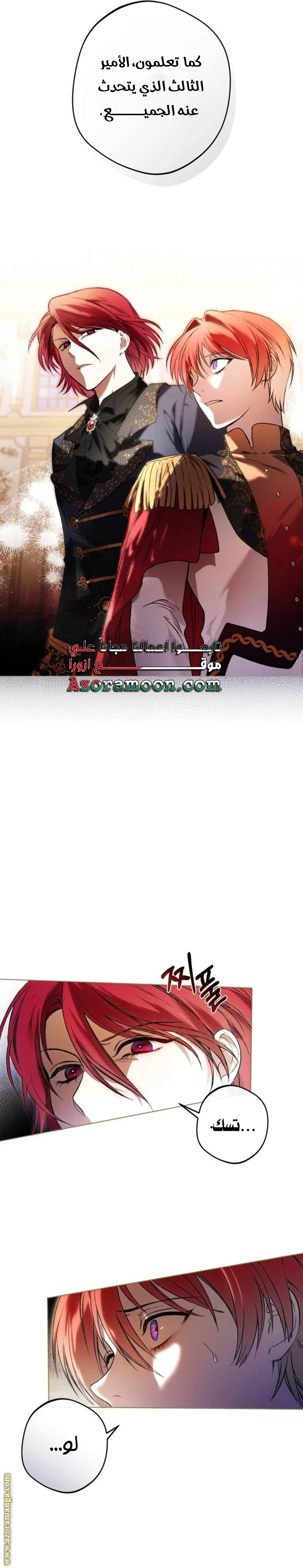 الصفحة 25