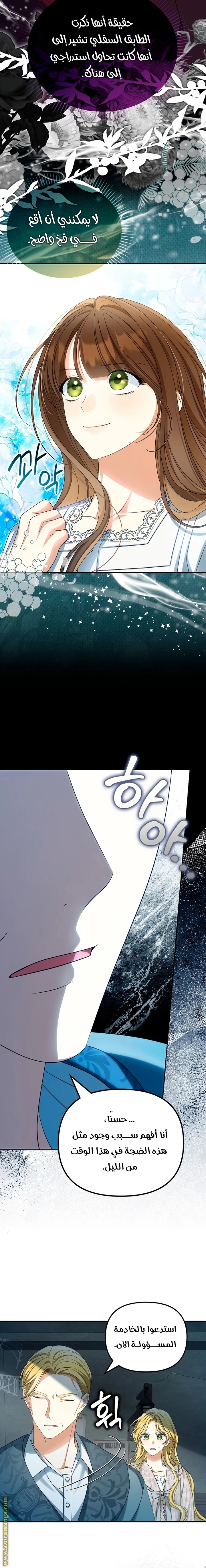 الصفحة 13
