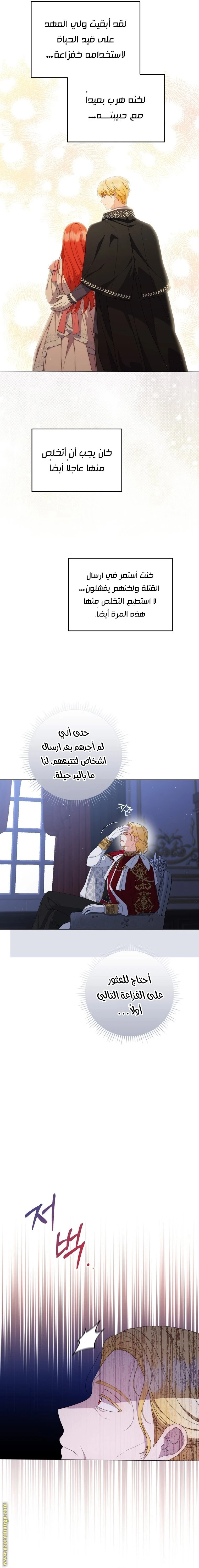 الصفحة 14