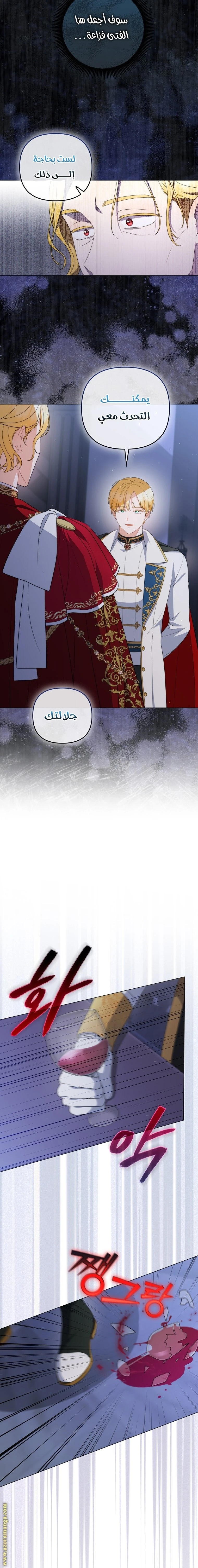 الصفحة 17