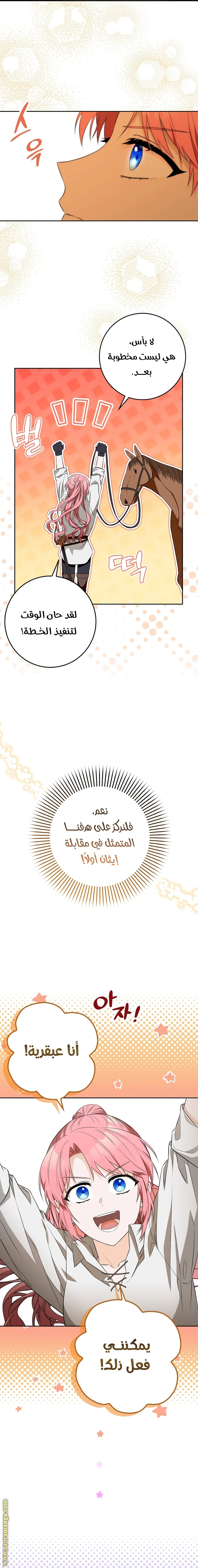 الصفحة 11