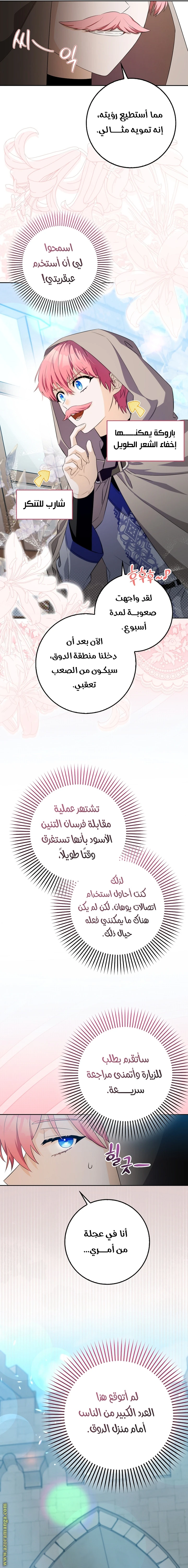 الصفحة 15