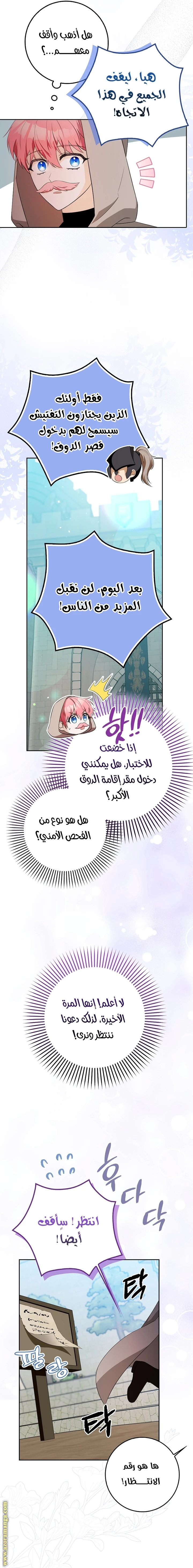 الصفحة 17